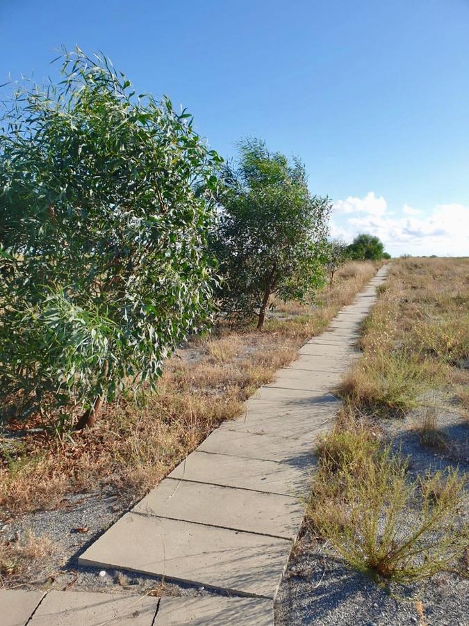 Villa Vista Mare Su Tre Piani Con Giardino Falerna Exterior foto